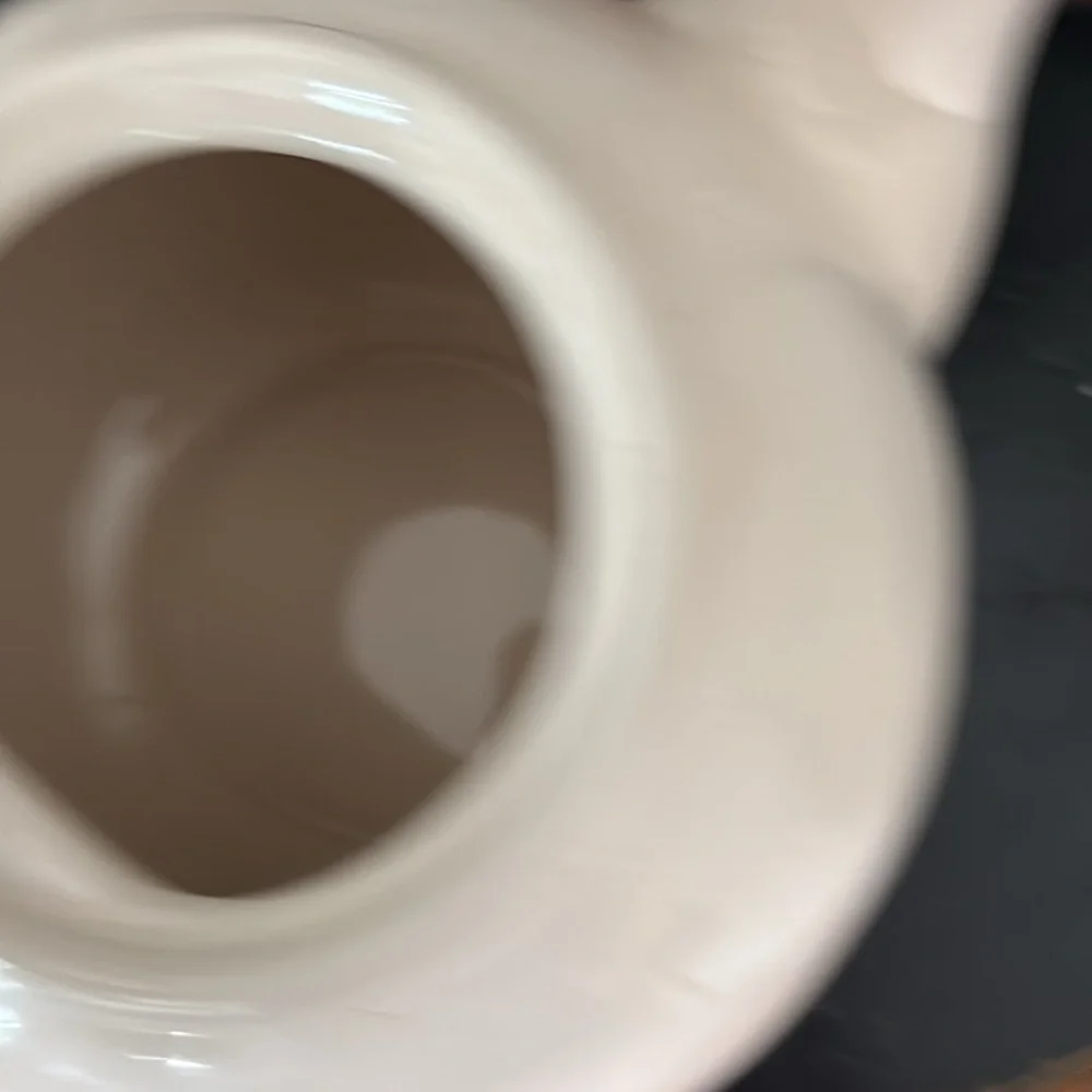 NWT Rae Dunn White 'Steep' Teapot